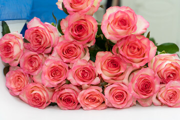 Bouquet of fresh flowers from pink-white roses
