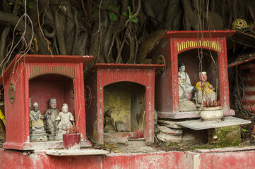 Obraz premium altars and deity at the foot of a tree in Penang