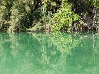 green river in amazon rainforest