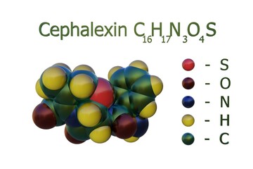 Structural chemical formula and molecular model of cephalexin, a beta-lactam, first-generation cephalosporin antibiotic with bactericidal activity. 3d illustration