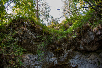 rock with green trees and grass