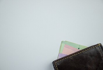 leather wallet with money