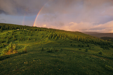 A rainbow over a field