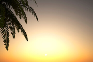 beautiful landscape with palm tree in front of sunset and sky background - 3D Illustration