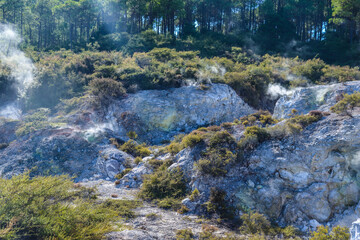 Naklejka na ściany i meble Waiotapu, also spelt Wai-O-Tapu is an active geothermal area at the southern end of the Okataina Volcanic Centre. It is 27 kilometres south of Rotorua. It's in the north of the New Zealand. 