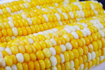 boiled corn on a white square plate, close-up, soft focus