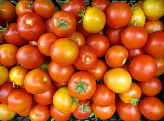 Fototapeta na wymiar Tomatoes background