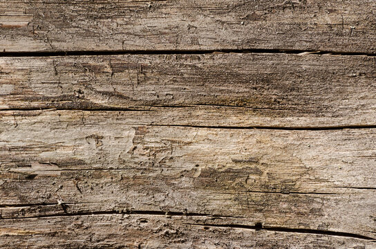 WOOD - Cracks on a wooden surface