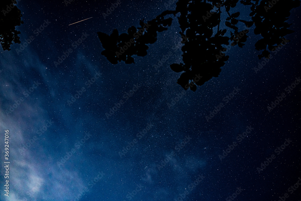 Wall mural overhead milky way with stars in clear summer night. country side.