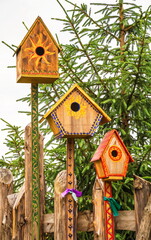 Bright wooden painted bird houses