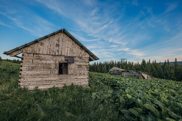 Obraz premium A group of sheep in front of a brick building