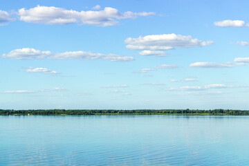 large river with a forest on the bank in the open air