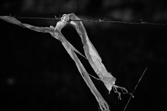 plastic on a barbed wire