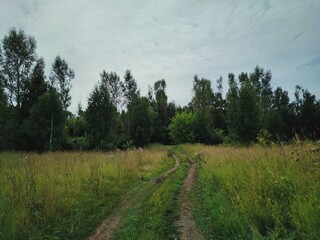Fototapeta na wymiar grassy road in a field near trees against a cloudy sky