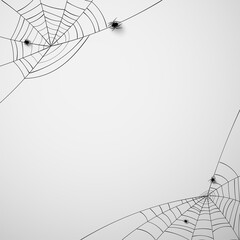 Spiderwebs with 3d crawling spider.