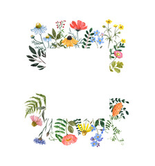 Beautiful and elegant wildflower border with hand painted summer meadow flowers, herbs, leaves, isolated on white background. Square botanical flower frame with daisy, poppy, cornflower, buttercups.