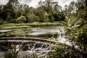 river in the forest