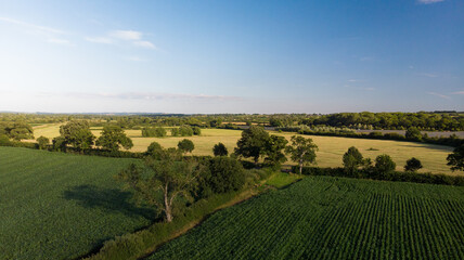 Fototapeta na wymiar Aerial shot of green agricultural farmers fields near Glastonbury, Somerset. 