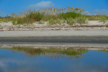Sea Oats in the dunes at East Beach as viewed from the surf, St Simons Island, GA
