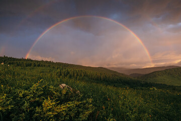 A rainbow over a field