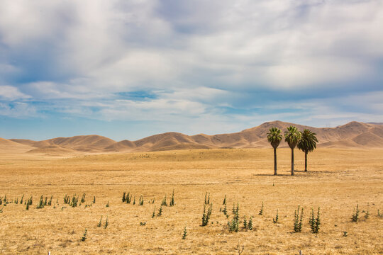 Landschaft Nahe Strathmore, Kalifornien, USA