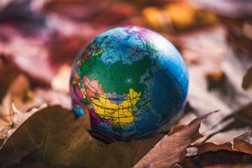 Close up of a small globe lies on colorful autumn maple leaves in the autumn forest. Concept. Selective focus. Russia, Europe, Asia, Africa. indian summer