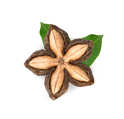 Sacha inchi peanut seed isolate on white background