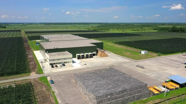 A View Of The Seedlings Of Trees From The Air, Flying Over Tree Seedlings, A Garden Center