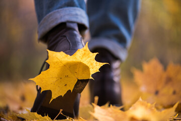 Yellow leaf stuck to the women's shoe during a walk through the autumn forest. Indian summer season
