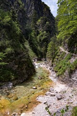 Ein Wanderweg entlang eines Flusses im Ötschergräben in den Österreichischen Alpen