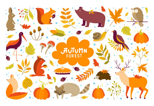 Set of Autumn cartoon characters, plants and leaves. Fall season