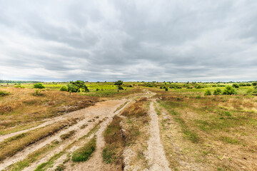 Landscape Rozendaalse Veld in the Dutch province of Gelderland during the drought 2018 views over dried grass, old ox cart traces and solitary trees against dark cloudy sky