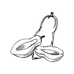 Papaya Hand Drawn