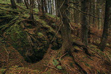 A sign on the side of a tree
