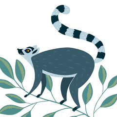 Illustration with cute lemur on the branch © darijashka