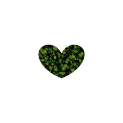 Moss heart on white background valentine day