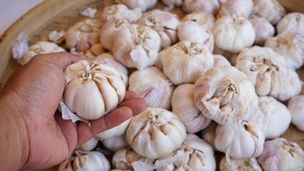 garlic on the market