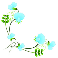 Corner with blue pea flowers on white background.