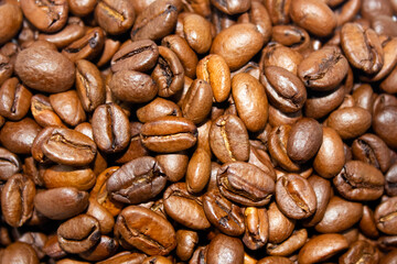 coffee beans background