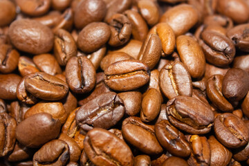 coffee beans close up