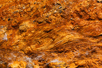 des algues extrémophiles dans le parc national du Yellowstone aux Etats-Unis