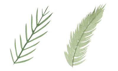 Watercolor parts of Christmas trees. Winter element. Use for holiday, new year 2021, gift, scrapbooking, print.