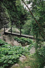 Fototapeta na wymiar Mountain footbridge above a water stream with beautiful greenery in the woods. Wildlife trail in a rocky forest. Trekking summer attraction for tourists. Outdoors lifestyle.