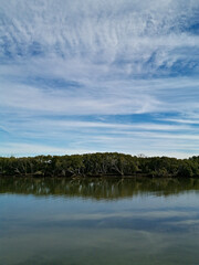 Beautiful view of a river with reflections of trees, deep blue sky and puffy clouds on water, Parramatta river, Rydalmere, Sydney, New South Wales, Australia
