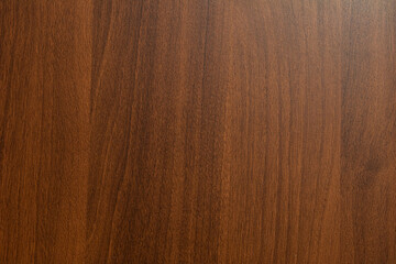 Texture of light wood covered with varnish