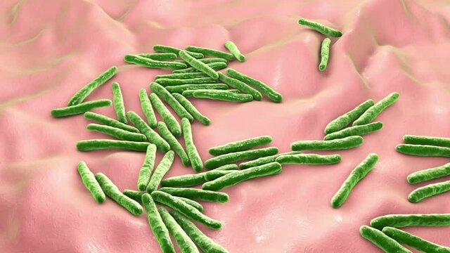 Bacteria Mycobacterium tuberculosis, the causative agent of tuberculosis, 3D animation