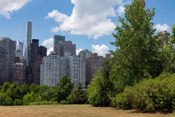 Obraz premium Green Grass Field at Southpoint Park with the Midtown Manhattan Skyline on Roosevelt Island during Summer in New York City