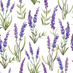 Vector illustration: seamless pattern of lavender flowers. Watercolor painting - obrazy, fototapety, plakaty