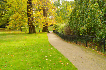 pathway along a lawn and metal fence on the other side with plants