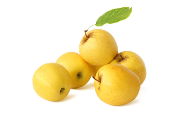 Yellow apples with leaf isolated on white